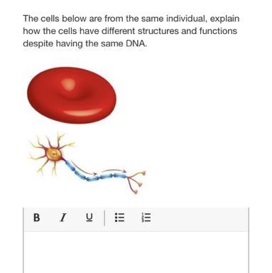 The cells below are from the same individual, explain how the cells have different-example-1