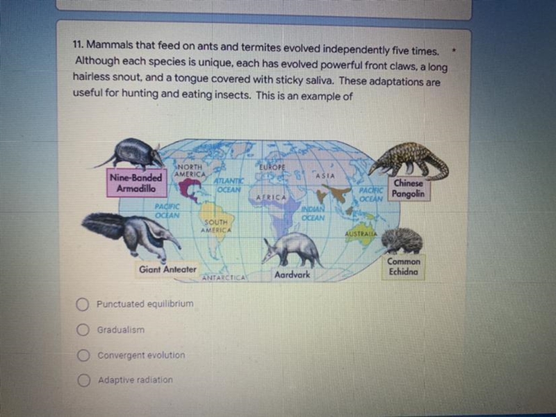 Mammals that feed on ants and termites evolved independently five times. Although-example-1