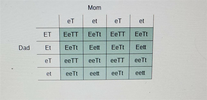 List all possible phenotypes and their ration below.One eye= Etwo eyes= ebad temper-example-1