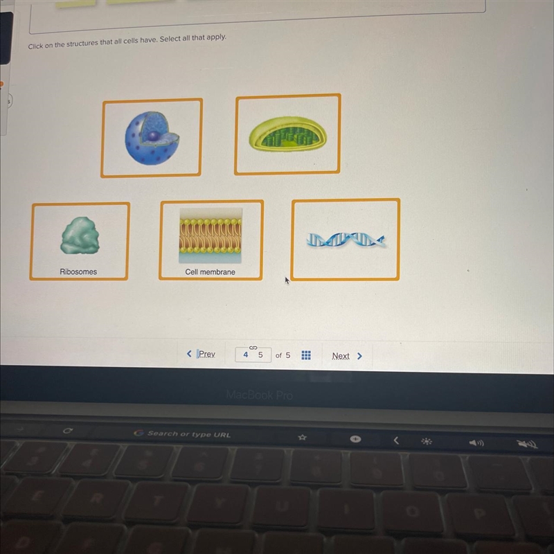 What structures contains cells ??-example-1