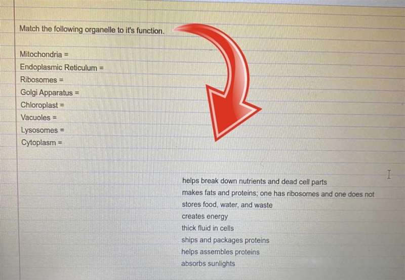 Can someone help me with this please? Match the following organelle to its function-example-1