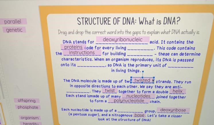 Structure of DNA: What is DNA? See picture: fill it out thx!-example-1