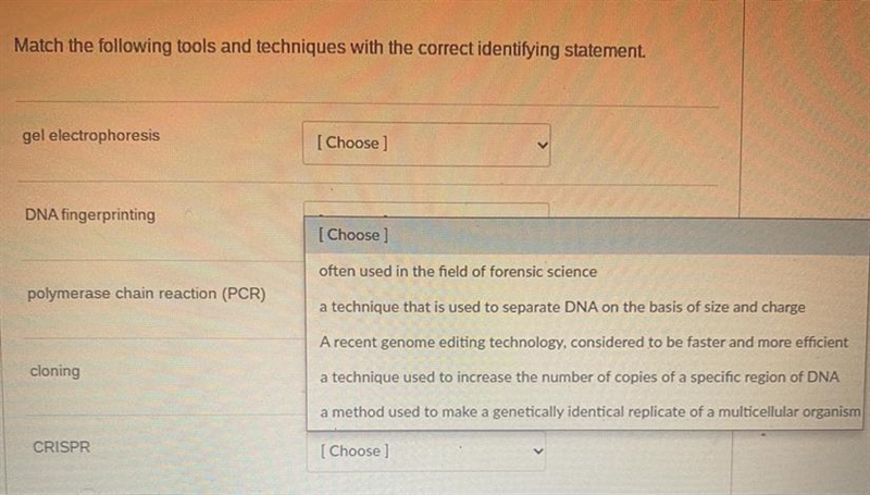 Match the following tools and techniques with the correct identifying statement, please-example-1