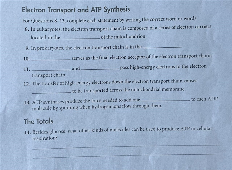 9. In prokaryotes, the electron transport chain is in the_______?-example-1