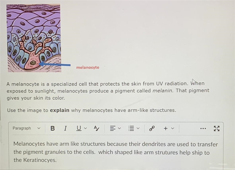 Hi I need to make sure If I’m correct with this question if you can help me out please-example-1