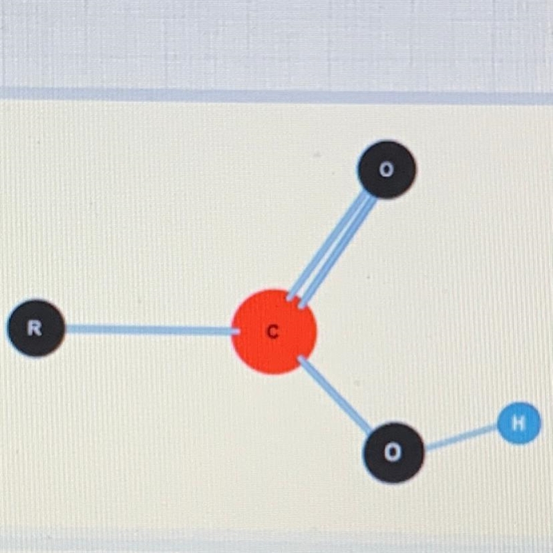 Which functional group does this picture represent? A. a hydroxyl group B. an amino-example-1