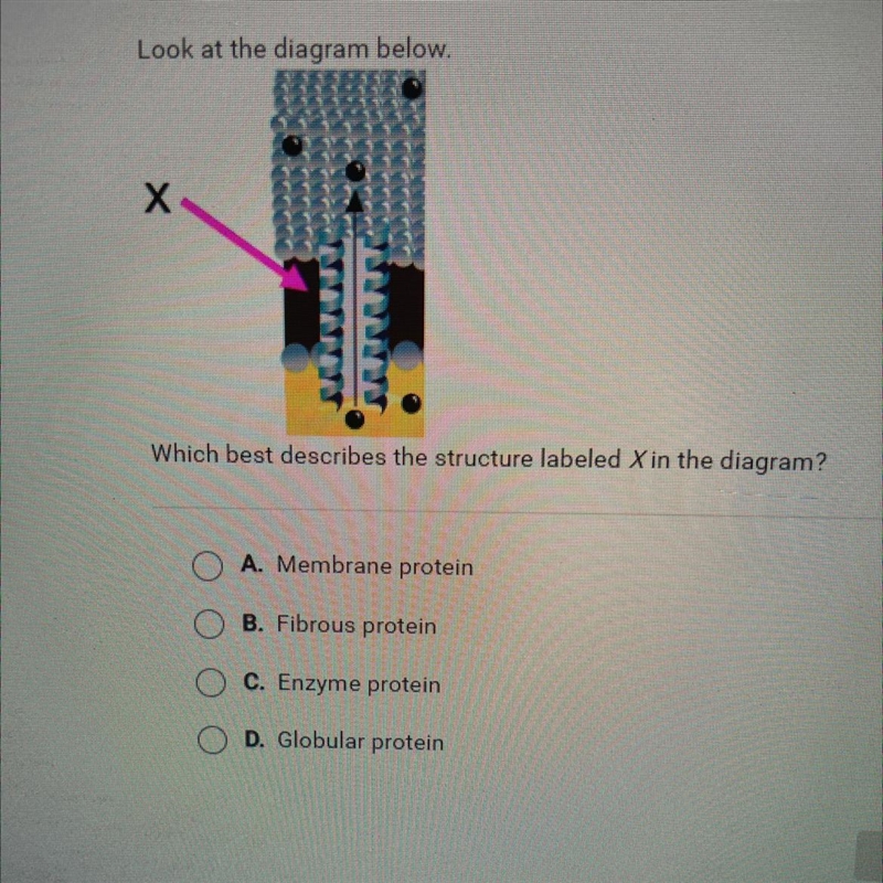 Question 2 of 25 Look at the diagram below. X Which best describes the structuro labeled-example-1