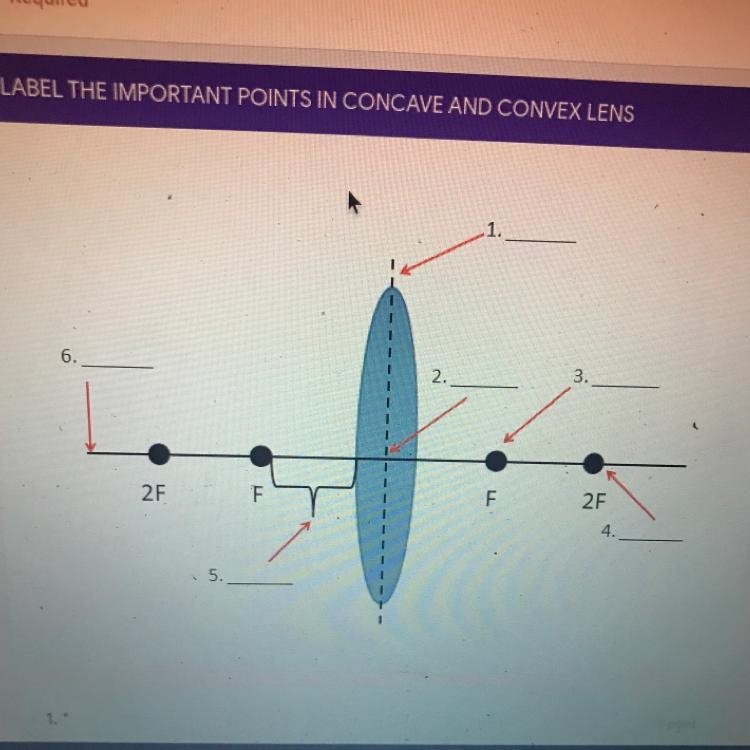 Label the important points in concave and convex lens Need help There have a choices-example-1