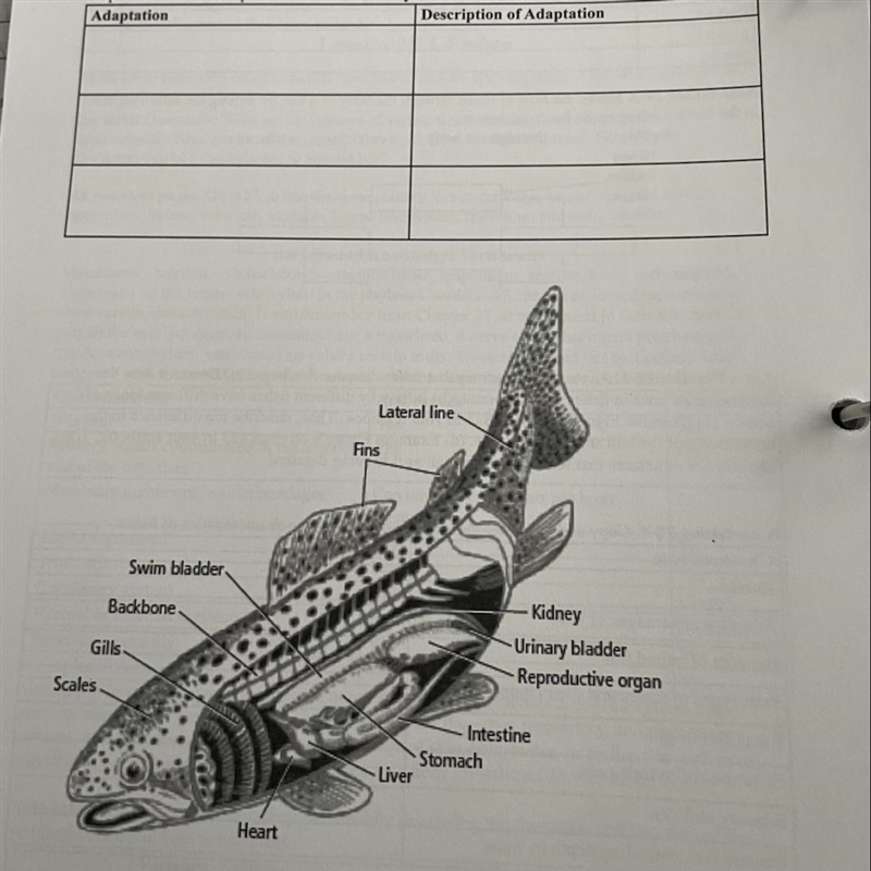 Need help to identify three adaptations that allow fish to live its entire lives in-example-1