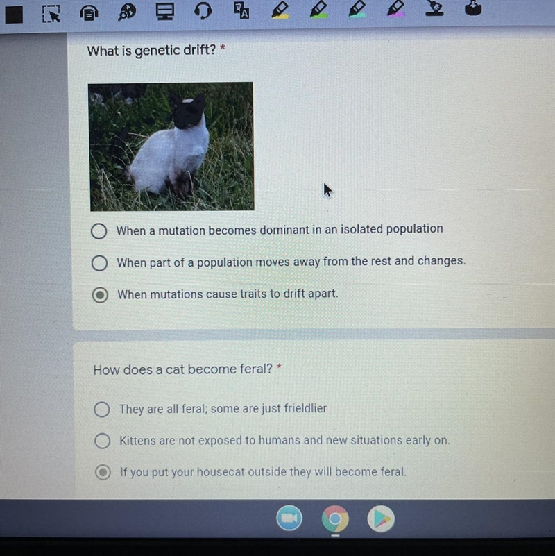 Is this correct? (Check image) QUESTION: what is genetic drift? How do cats become-example-1
