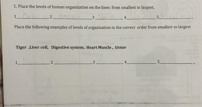 Can someone please help me-example-1