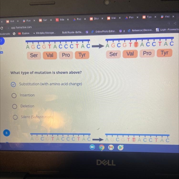 What type of mutation is shown above? 1. Substitution 2.Insertion 3. Deletion 4. Silent-example-1