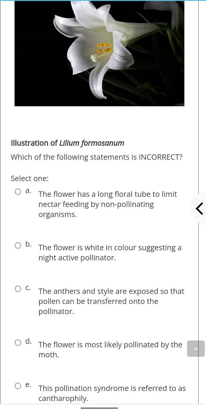 Choose the correct answer​-example-1