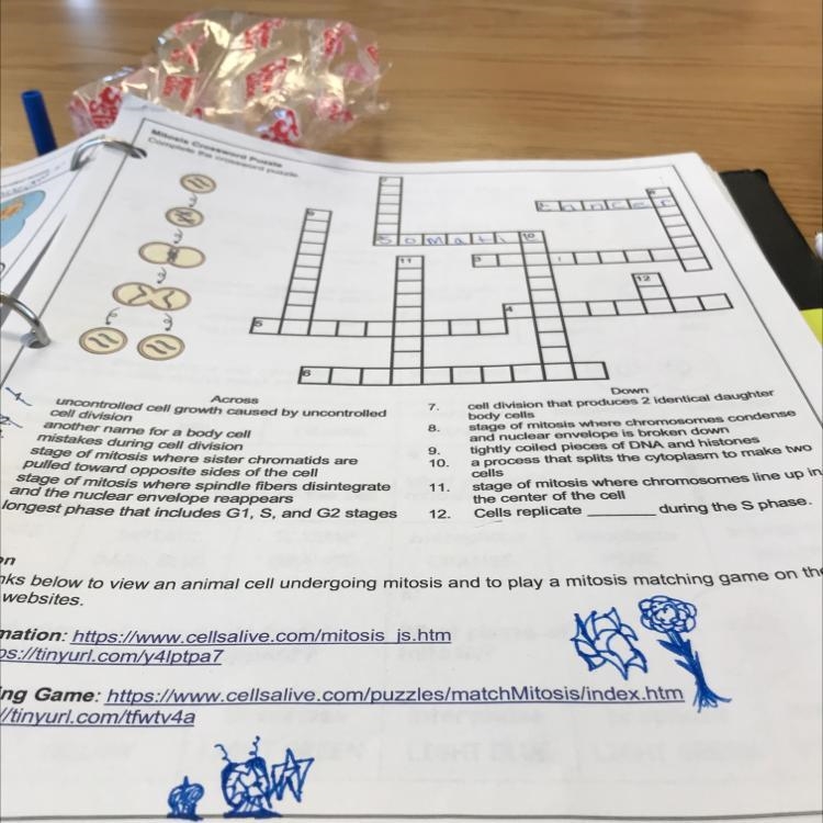 Crossword puzzle mitosis Biology Chapter 11-example-1