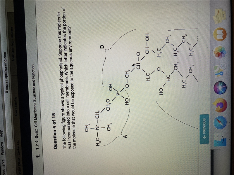 the following figure shows a typical phospholipid. suppose this molecule was incorporated-example-1