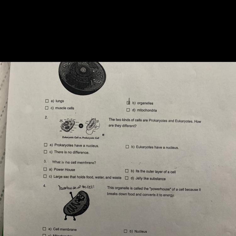 These are low organs that carry out cell function number 2-example-1