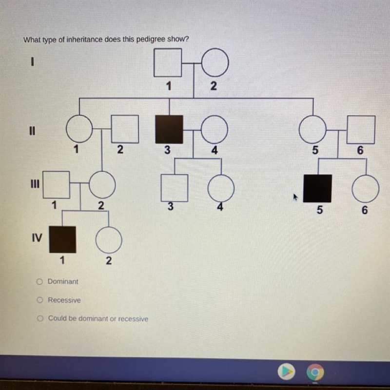 P What type of inheritance does this pedigree show? I 1 2 II 2 3 4 5 6 III 1 2 3 4 5 6 IV-example-1