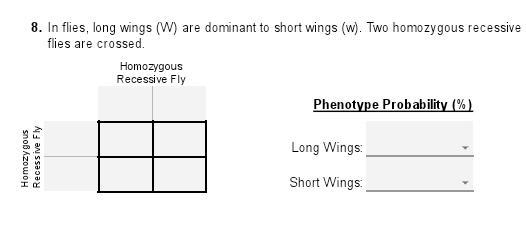 8. In flies, long wings (W) are dominants to short wings (w). Two homozygous recessive-example-1