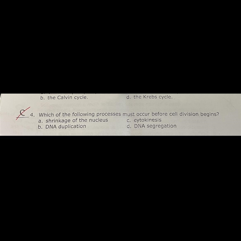 Which of the following processes must occur before cell division begins?And why is-example-1