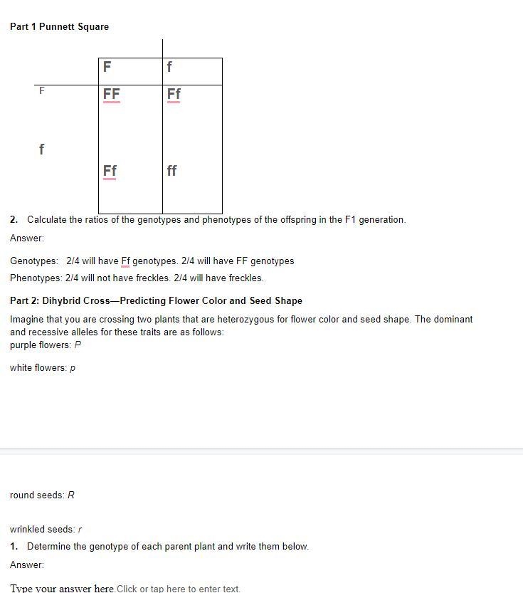 Part 2: Dihybrid Cross—Predicting Flower Color and Seed ShapeImagine that you are-example-1