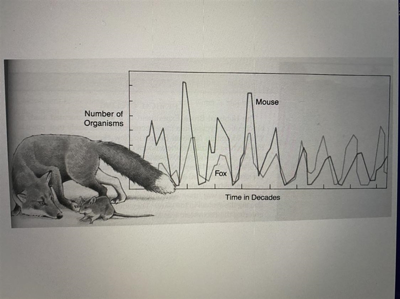 Interpret this line graphshowing the changes in thenumber of foxes and miceover the-example-1