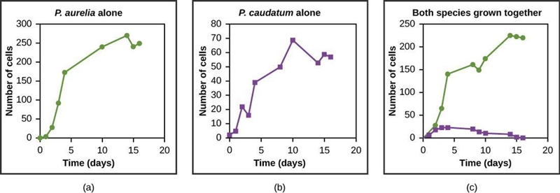 7. You will use these graphs showing competition in two paramecia species for the-example-1