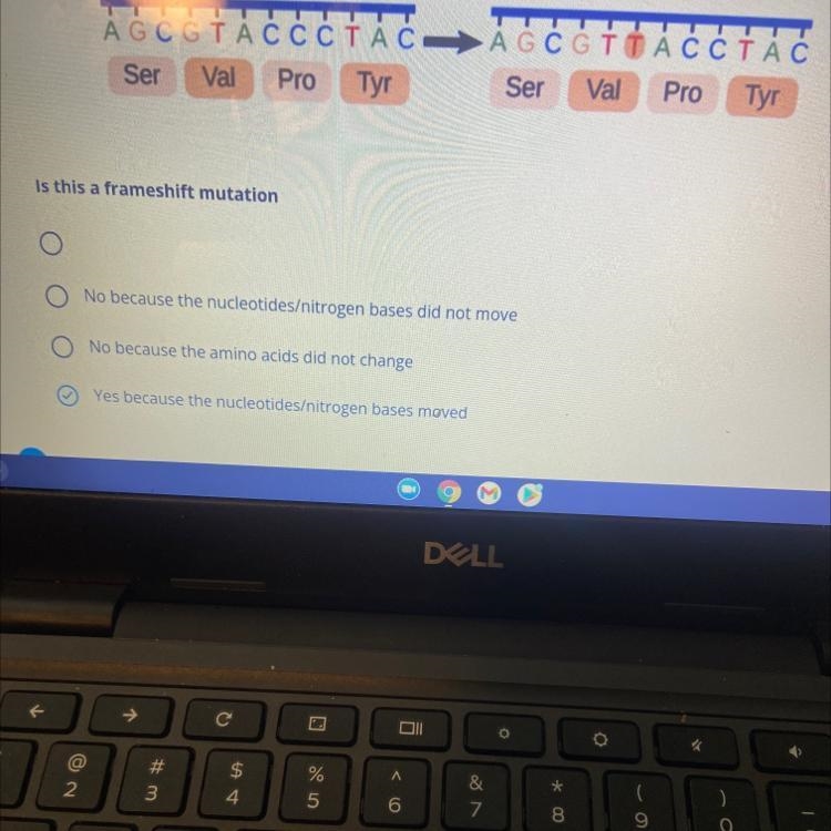 Is this a frameshift mutation 1.No because the nucleotides/nitrogen bases did not-example-1