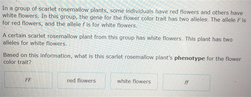 In a group A Sorter surrow parts, some indostave red flowers and others haveWhite-example-1