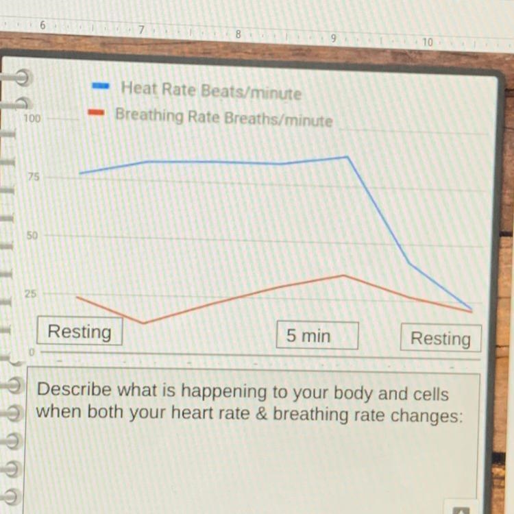 Describe what is happening to your body and cells when both your heart rate & breathing-example-1