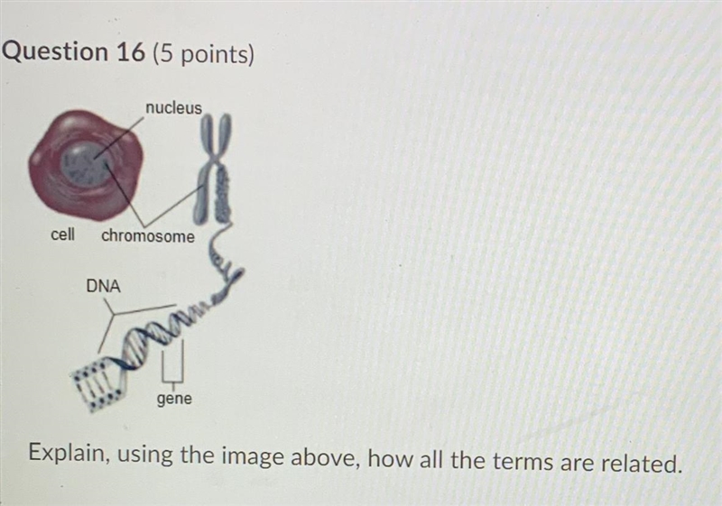 I need help with this question please and thank you, I’m not sure if I’m correct-example-1