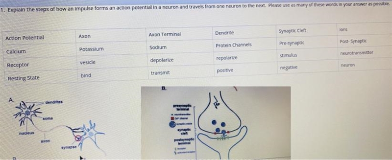 Hi, can you help me, to explain using all these keys words that we can see in the-example-1