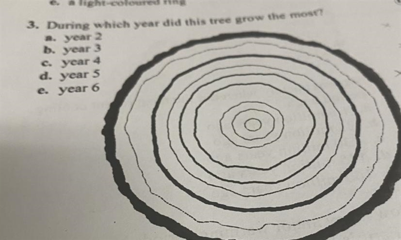 HELP! Look at the picture attached. (50 points) 3. During which year did this tree-example-1