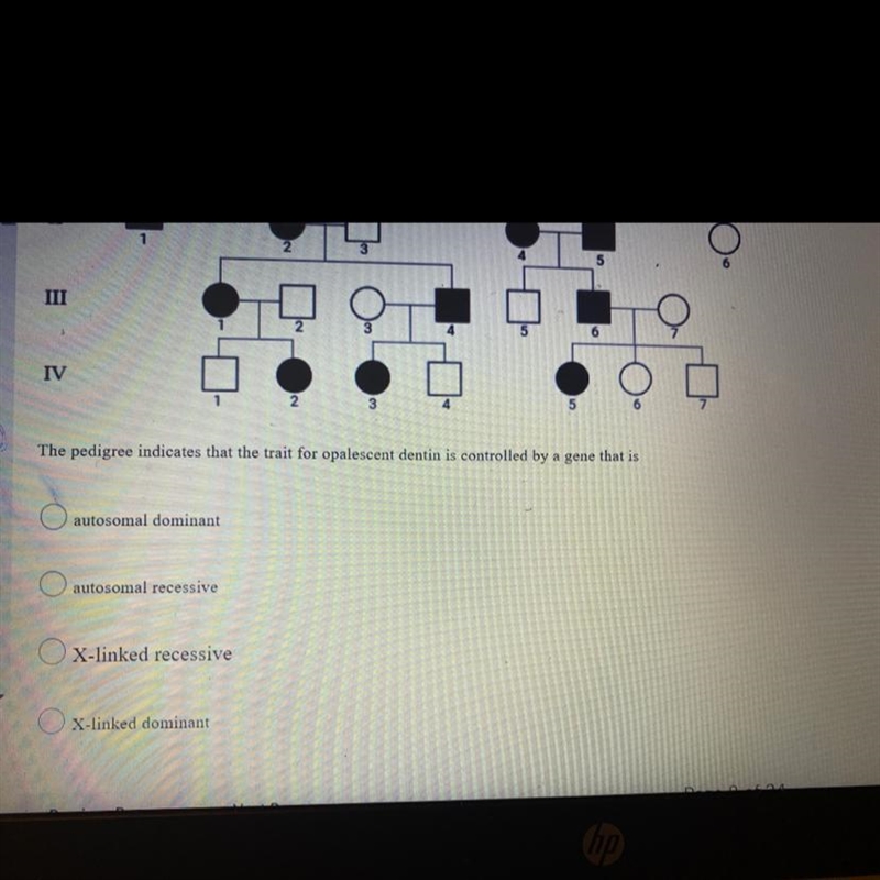 The pedigree indicates that the traits for opalescent dentin is controlled by a gene-example-1