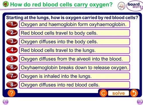 How do red blood cells carry 02?-example-1