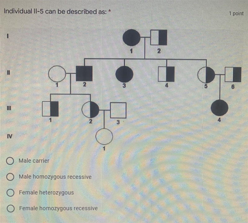 Individual II-5 can be described as:a) male carrierb) male homozygous recessivec) female-example-1