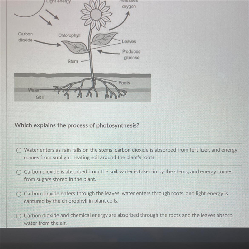 Please help me in this question thank yoy-example-1