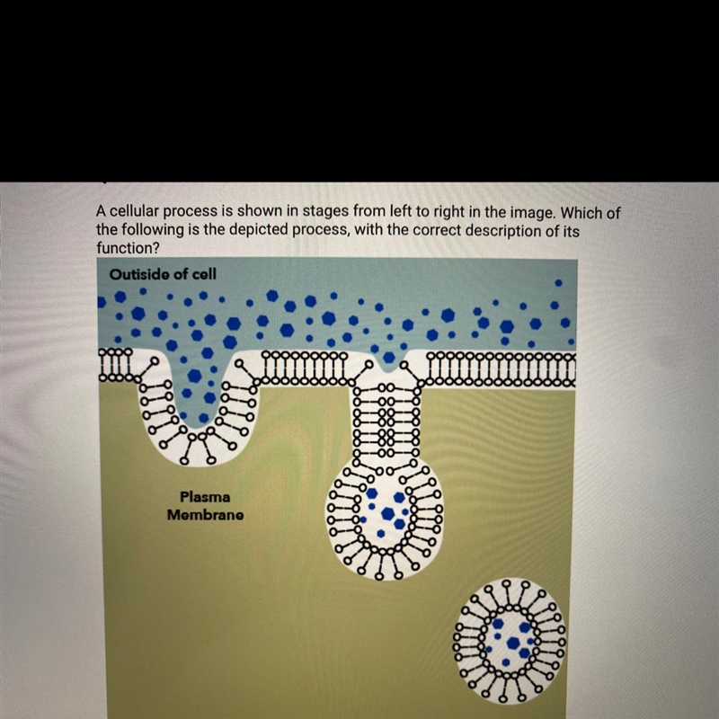 Which of the folowing is the depicted process, with the correct description of this-example-1