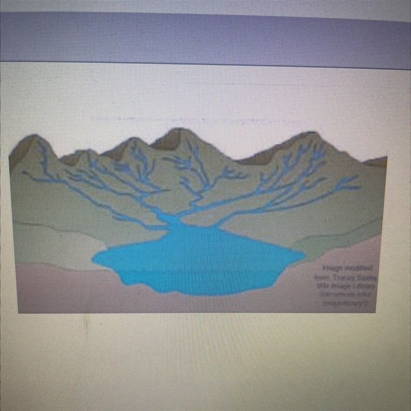 The image above represents A) a single runoff pathway B) groundwater contamination-example-1