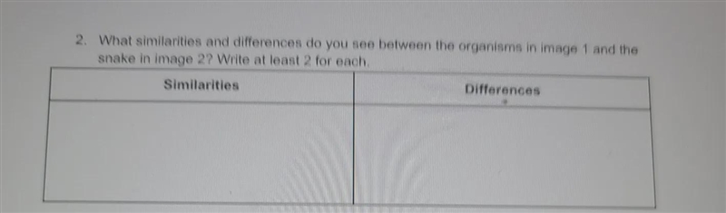 What similarities and differences do you see between the organisms in image 1 and-example-1