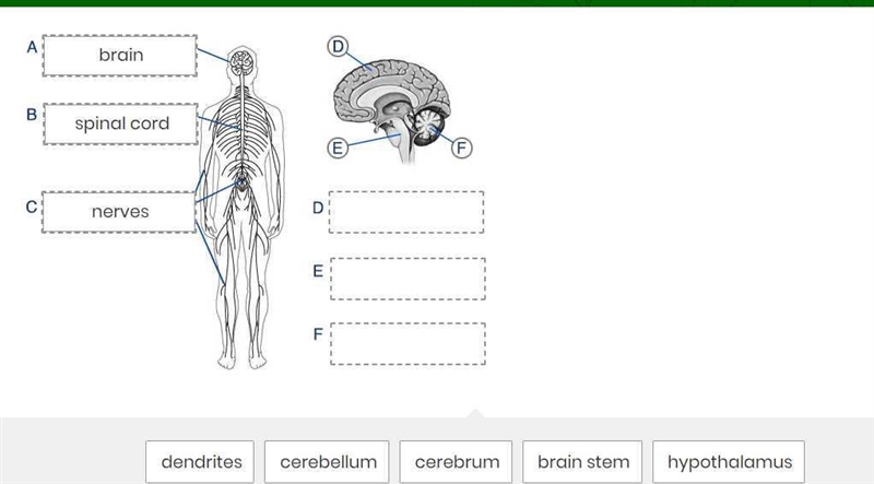 Please help (again sorry)-example-1