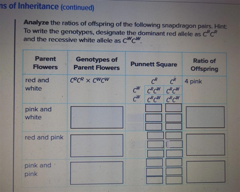 Complex patterns of inheritance, 10th grade2nd problem: Pink and white-example-1