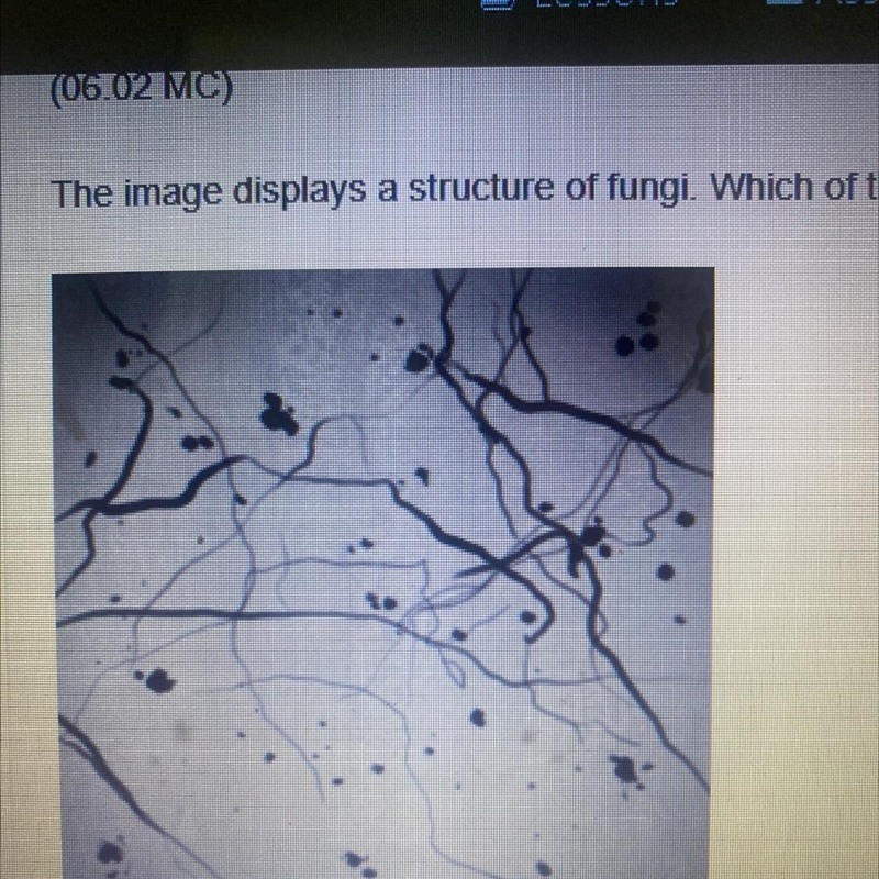 The image displays a structure of fungi. Which of the following best describes the-example-1