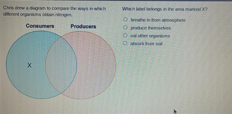 PLEASE ANSWER ASAP ITS A TEST:Which label belongs in the area marked X? Obreathe in-example-1