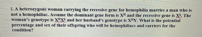 Heredity assignment: must show punnet square, and provide short explanation of genotype-example-1