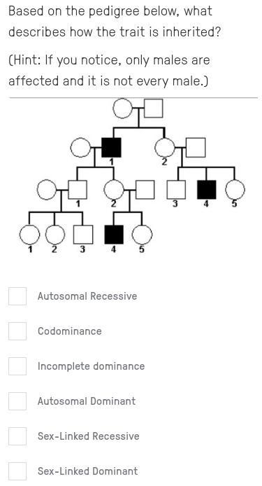 Based on the pedigree below, what describes how the trait is inherited?-example-1