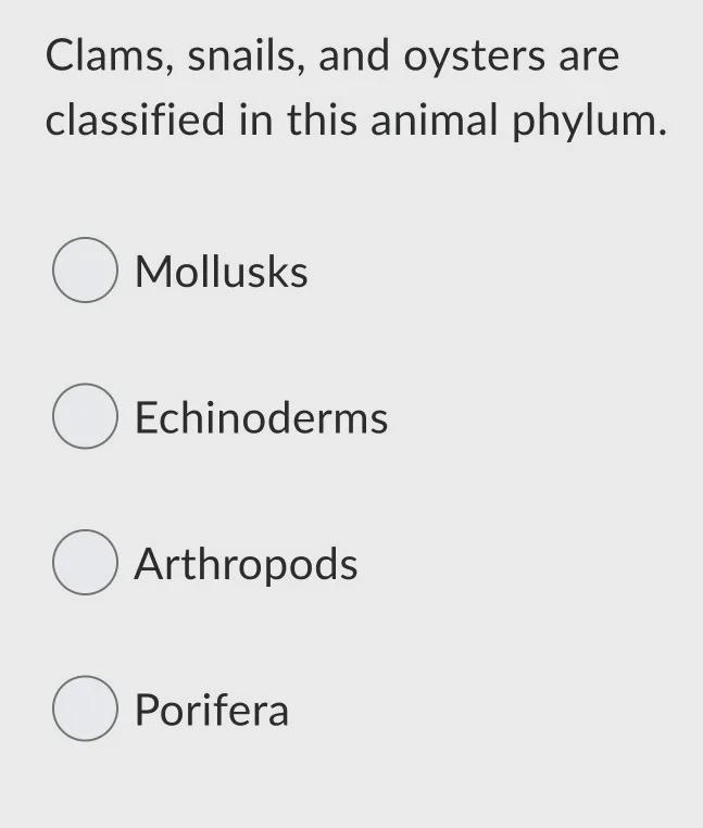 Clams, snails, and oysters are classified in this animal phylum.A) MollusksB) EchinodermsC-example-1