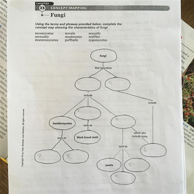 30 points! Chapter 23 Concept Mapping Fungi -Biology principles and explorations--example-1