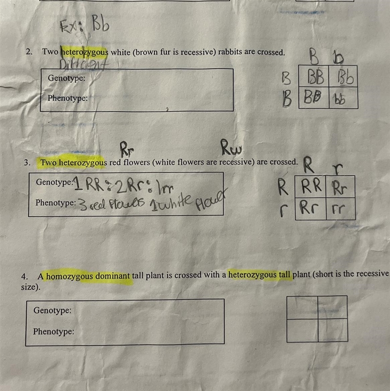 I really need help on these questions-example-1