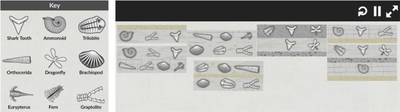 This simulation contains rock layers and fossils from several different locations-example-1