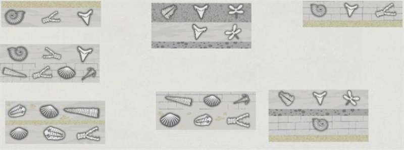 This simulation contains rock layers and fossils from several different locations-example-2